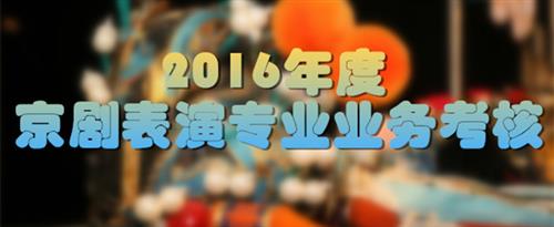 搞基网站女女国家京剧院2016年度京剧表演专业业务考...